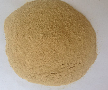 Fish Meal